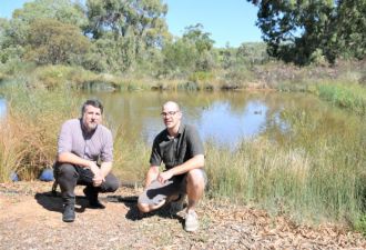 Oaklands constructed wetland 