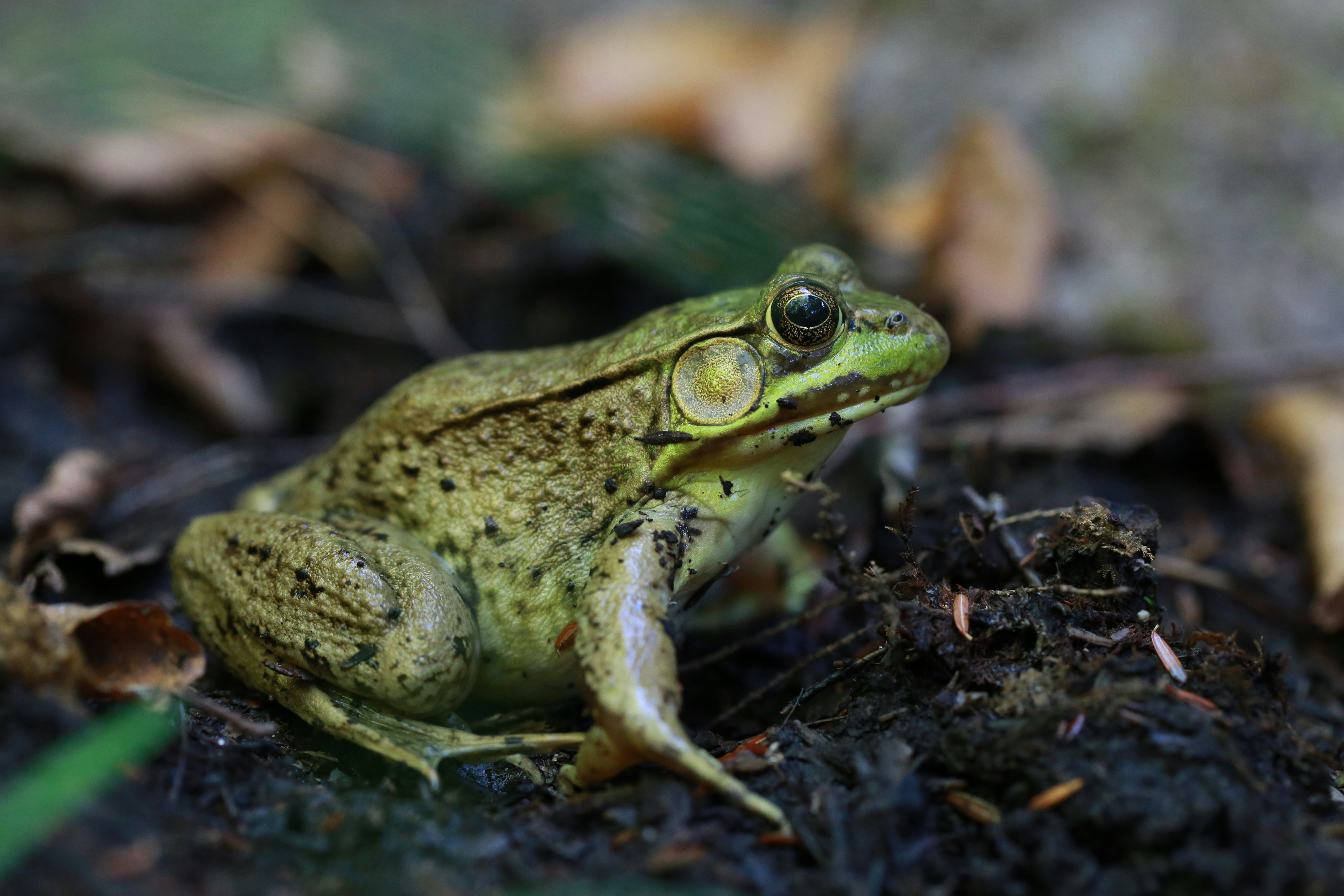 Photo by Gary Yost on Unsplash