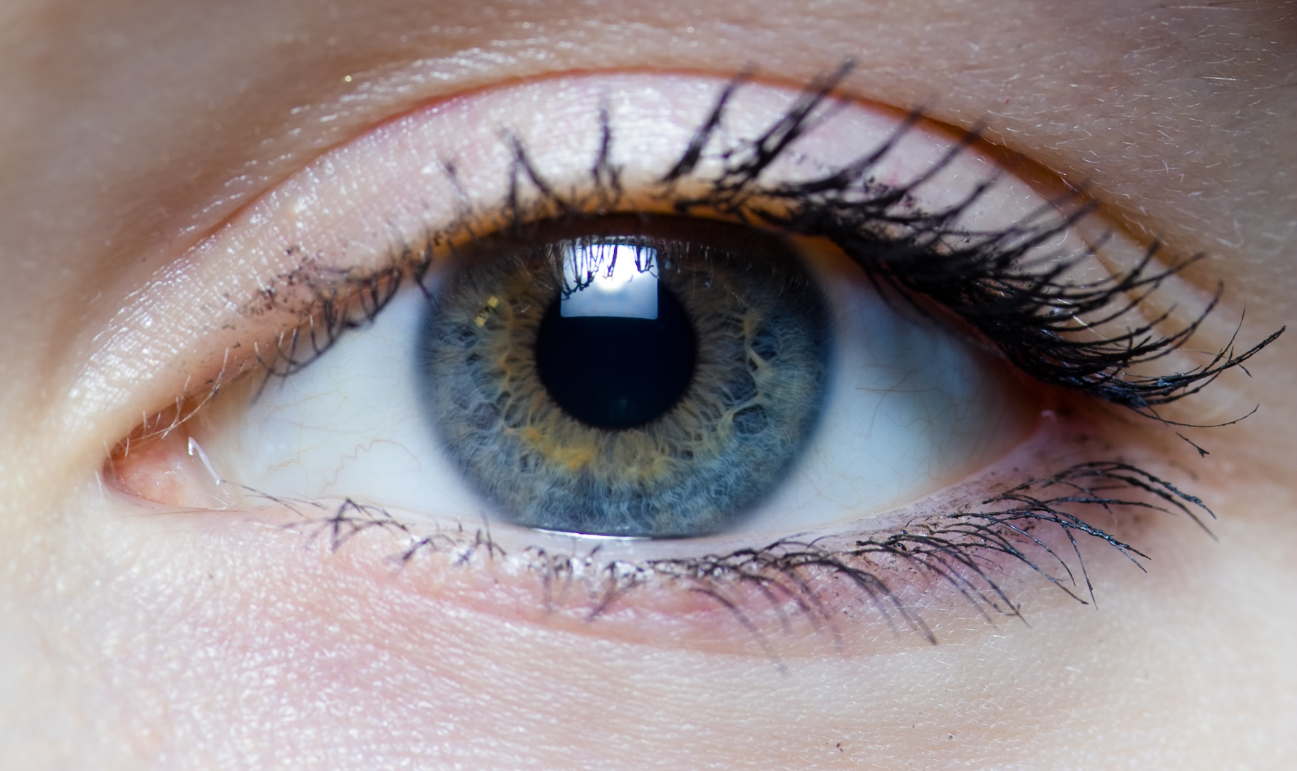 Iris_-_right_eye_of_a_girl By Laitr Keiows - Own work, CC BY-SA 3.0