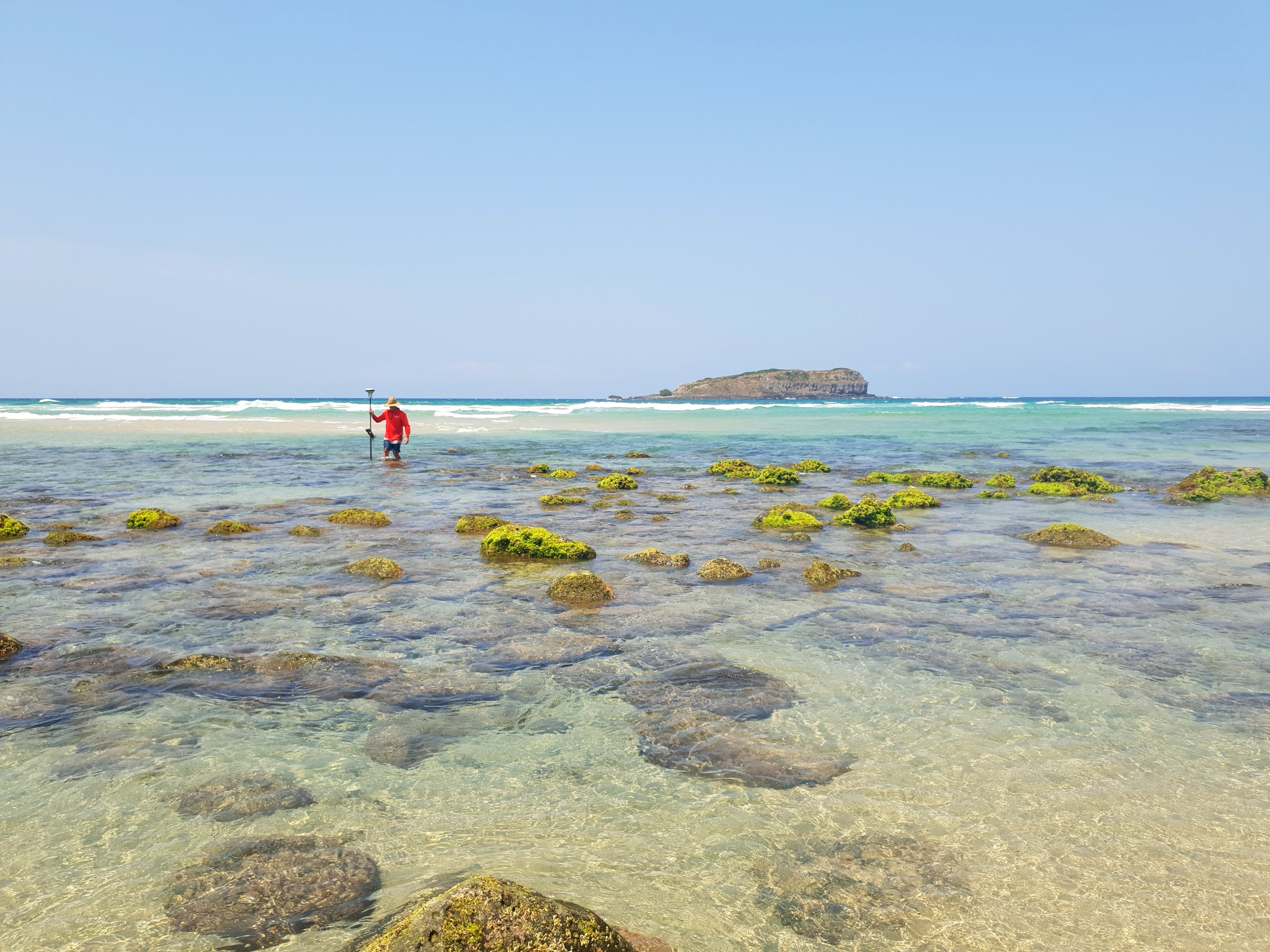 Credit: Ana Da Silva