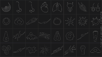 The Human Cell Atlas initiative goal