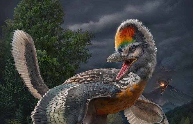 Fujianvenator prodigiosus.  Credit: Mr. Chuang Zhao / Springer Nature