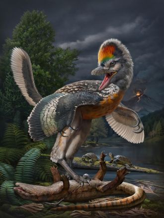 Fujianvenator prodigiosus