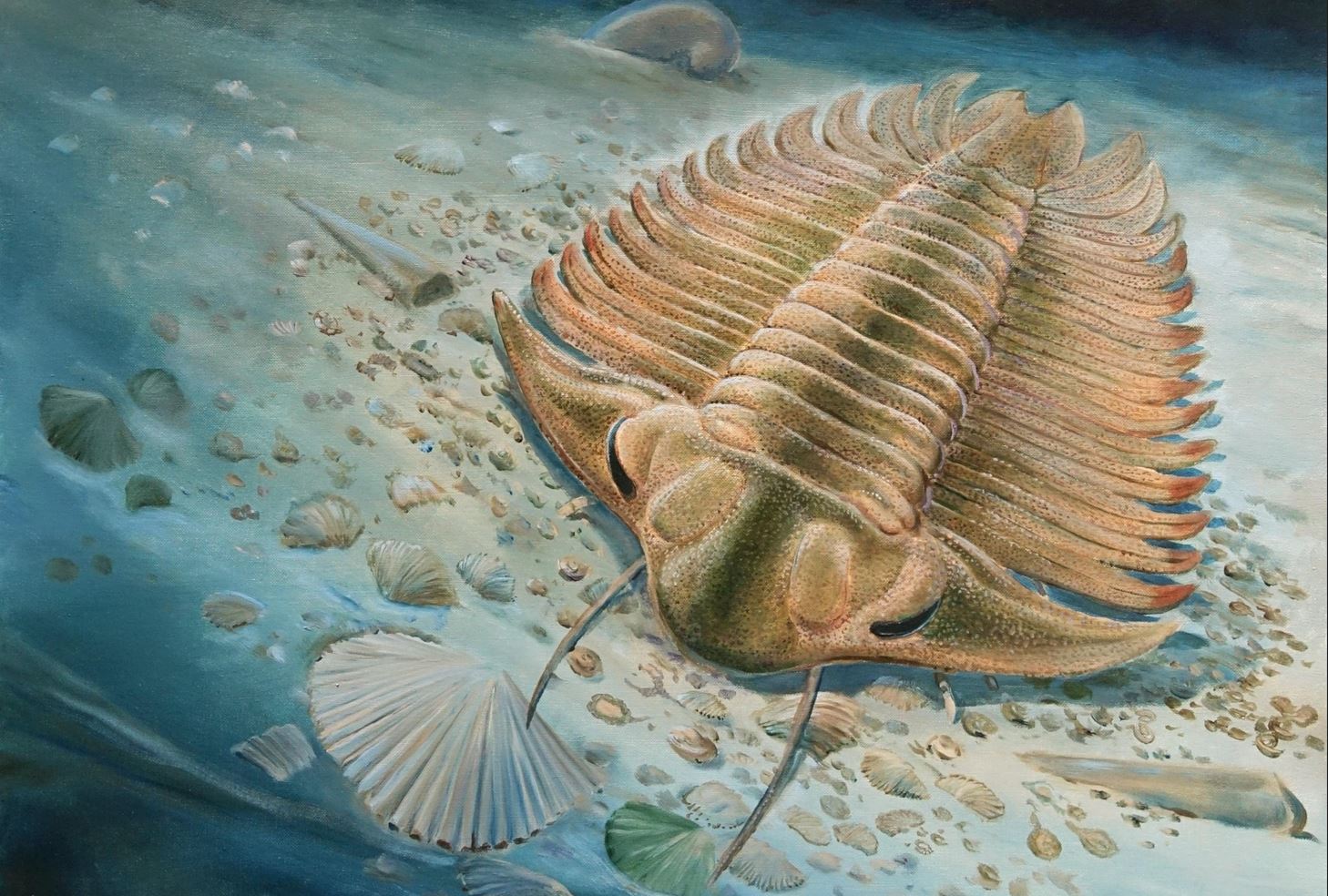 Bohemolichas feeding on the sea floor, moments before it is engulfed, buried and preserved by an underwater mud flow. Credit: Jiri Svoboda.