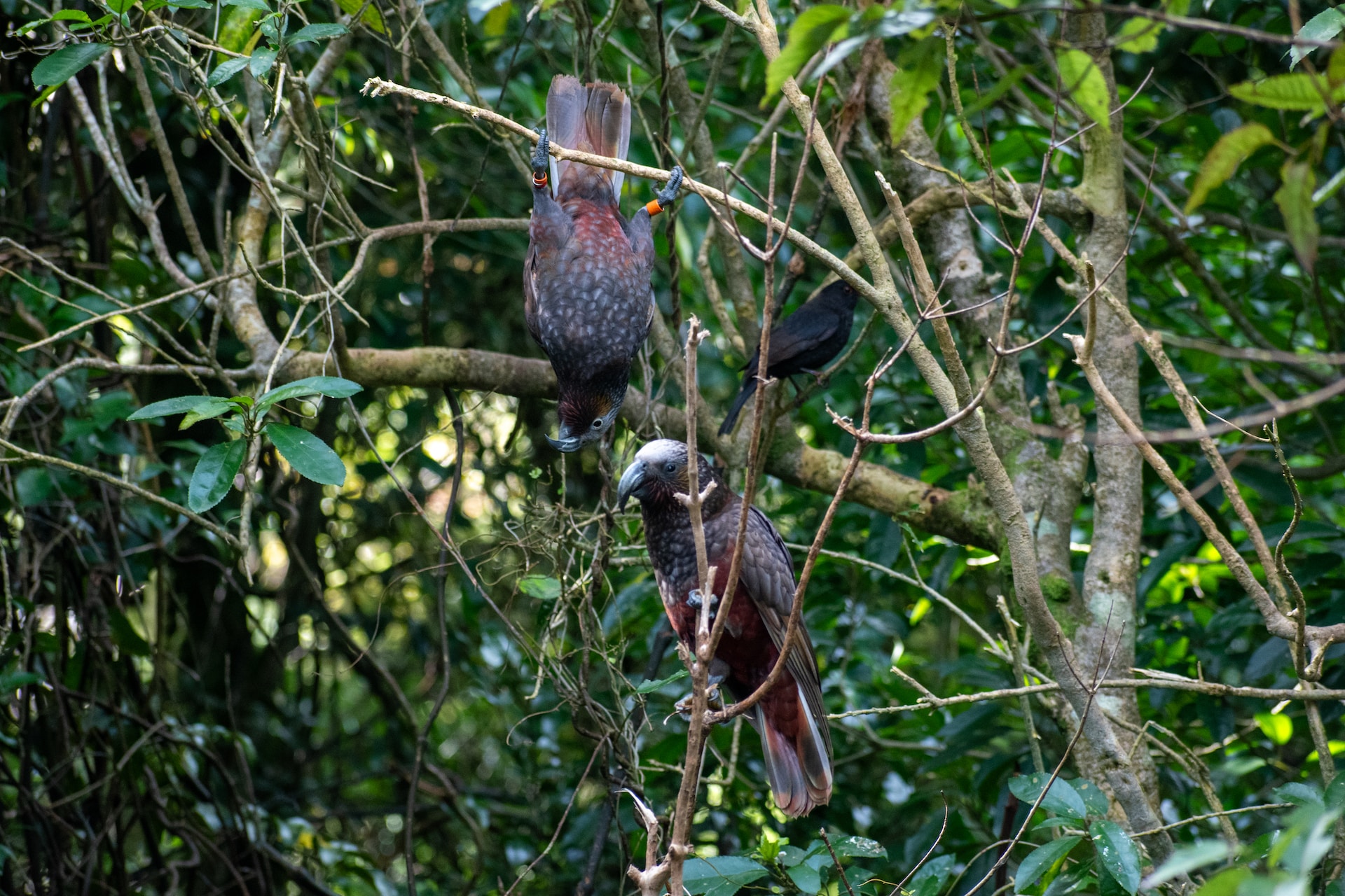 PHOTO: Eli Prater/Unsplash