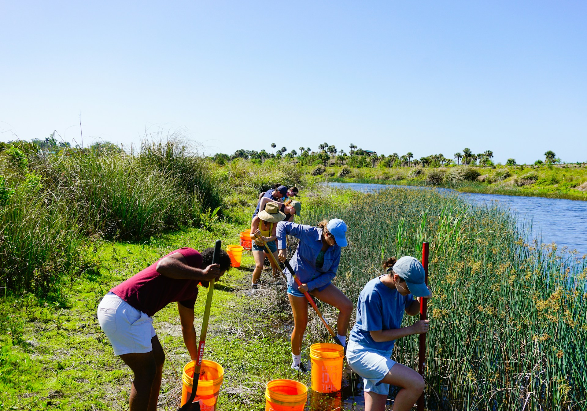 PHOTO: The Tampa Bay Estuary Program/Unsplash