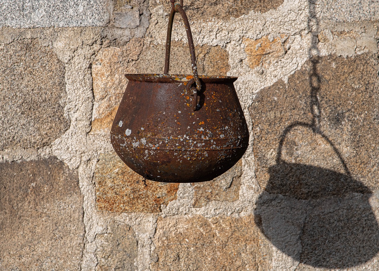 Image by jacqueline macou from Pixabay