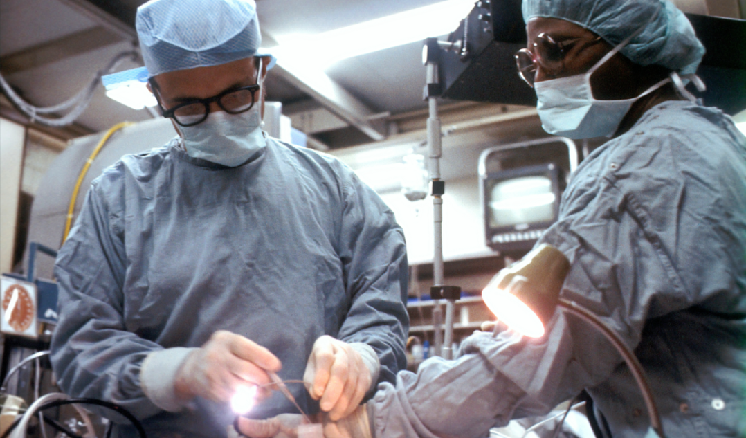 Photo by National Cancer Institute on Unsplash