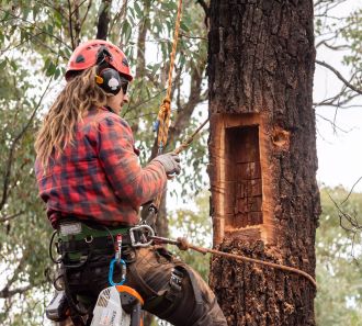 Creating a chainsaw hollow credit William Terry