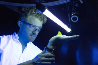 Dr. Fabian holds a brimstone butterfly (Gonepteryx rhamni) 