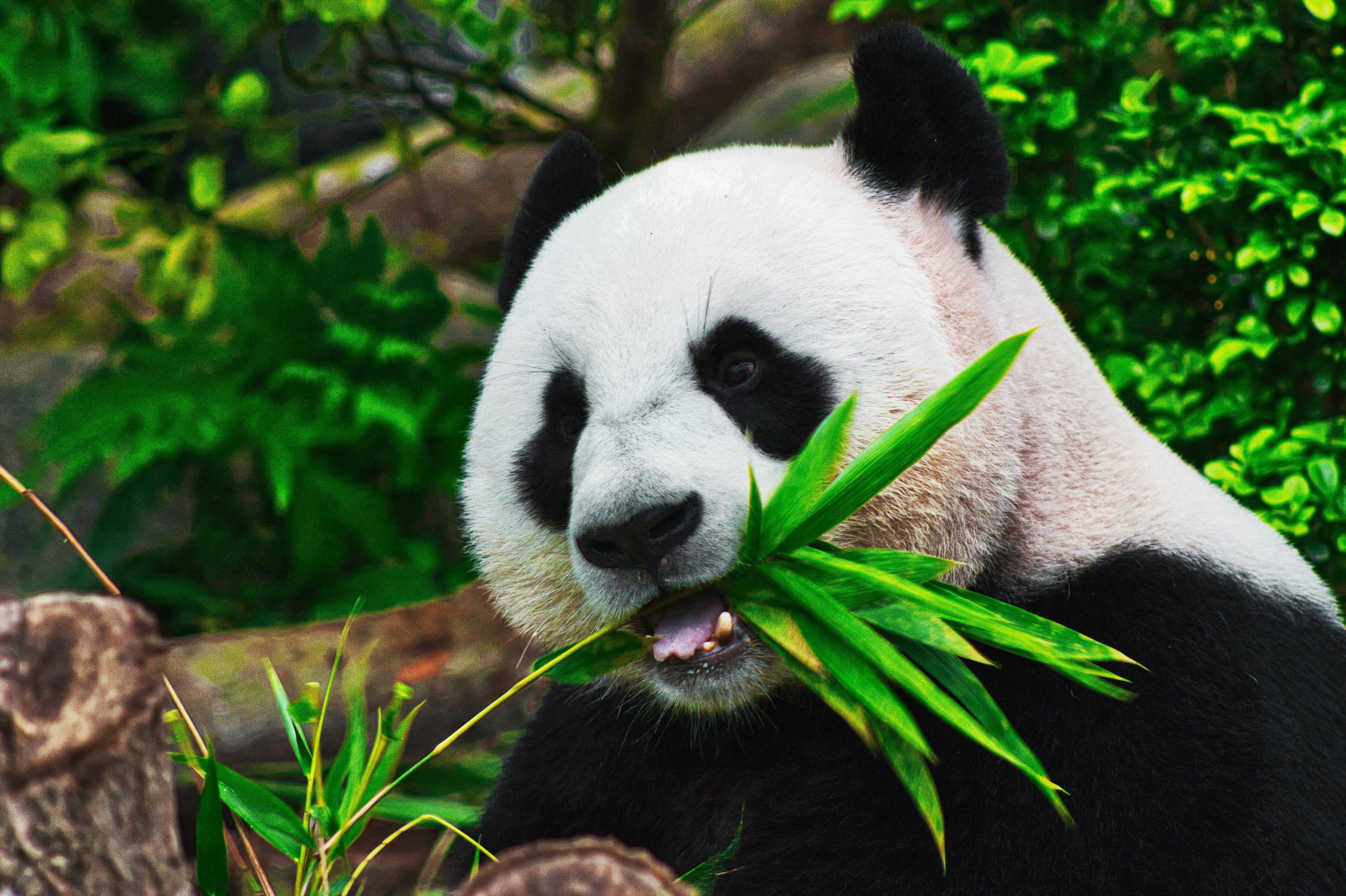 Photo by Sid Balachandran on Unsplash