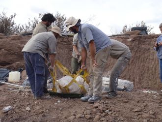 Transporting a plaster jacket