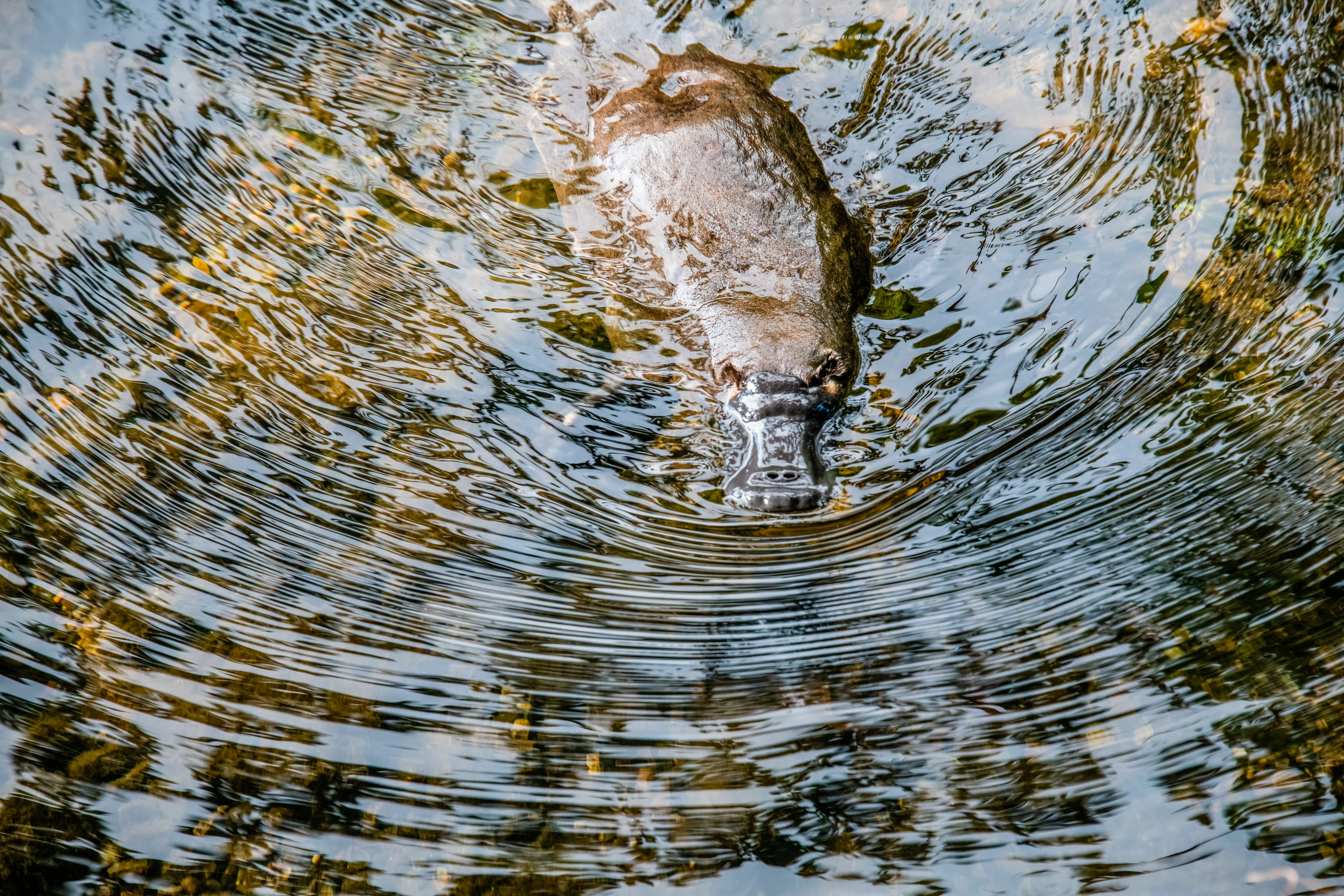Photo by Trevor McKinnon on Unsplash