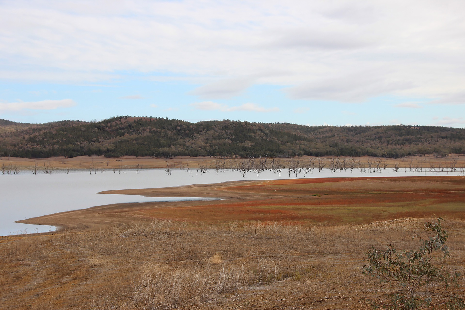 Image of drought impacted Lake Keepit in regional NSW - Image by Wallula from Pixabay