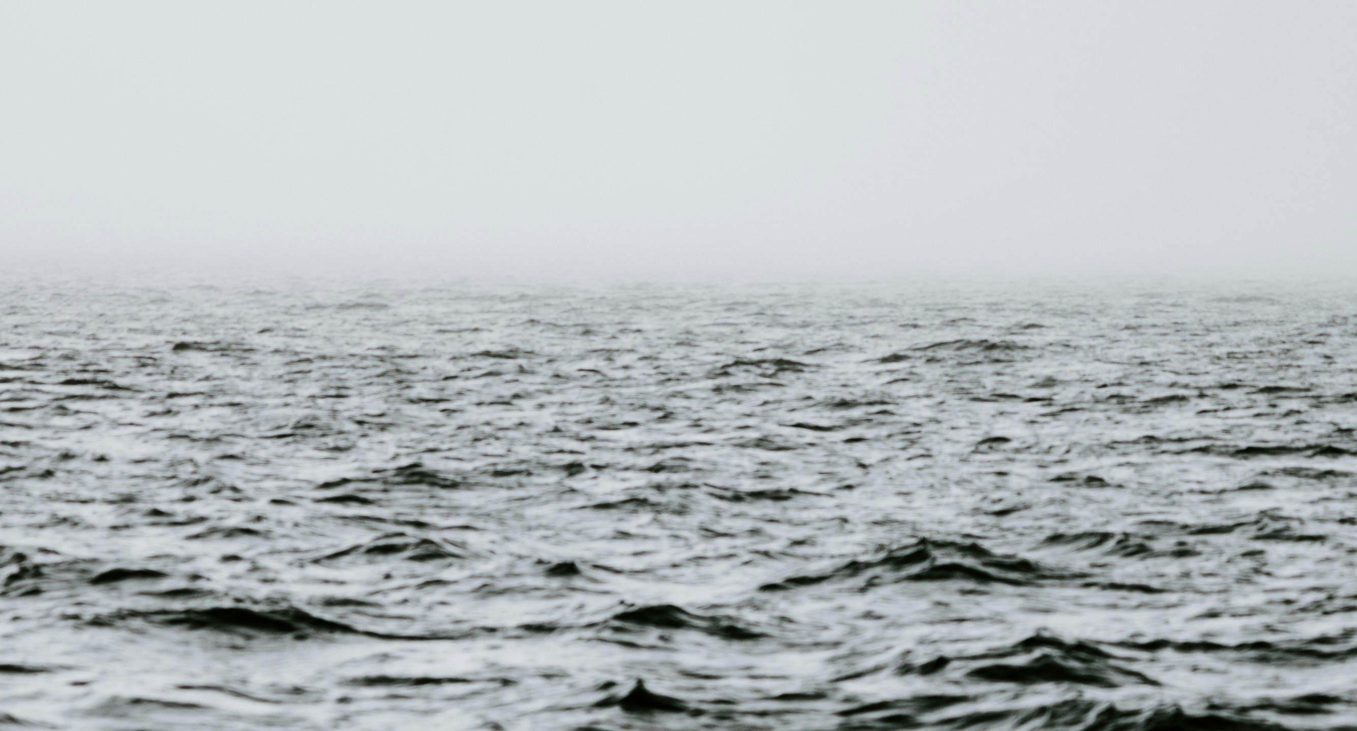 Photo by Annie Spratt on Unsplash