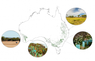 Cost-effective restoration sites in heavily degraded ecosystems across Australia
