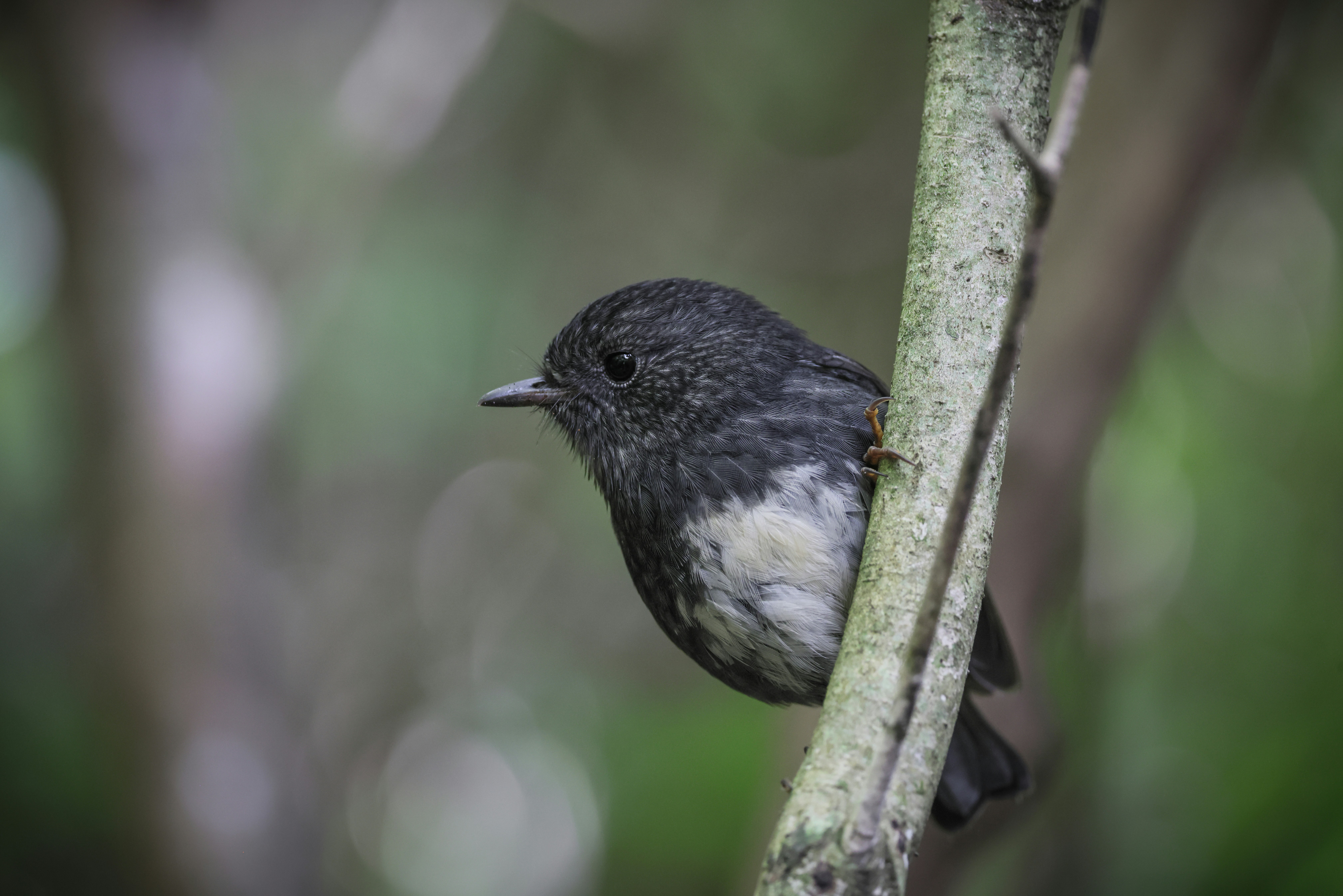 Photo by Tony Stoddard on Unsplash