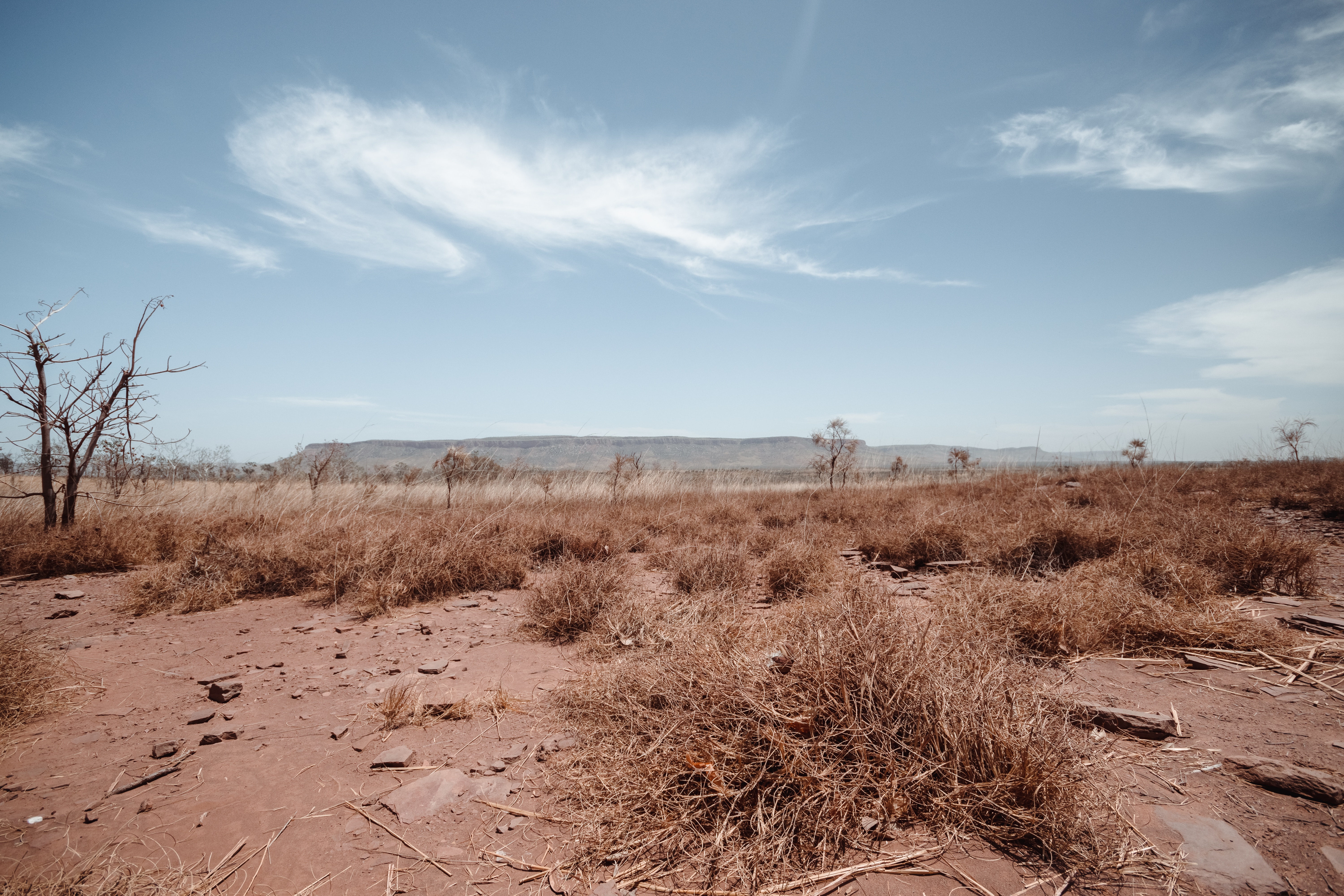 Photo by Fiona Smallwood on Unsplash