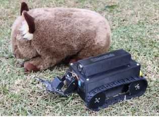 Ross, R. et al. / Springer Nature