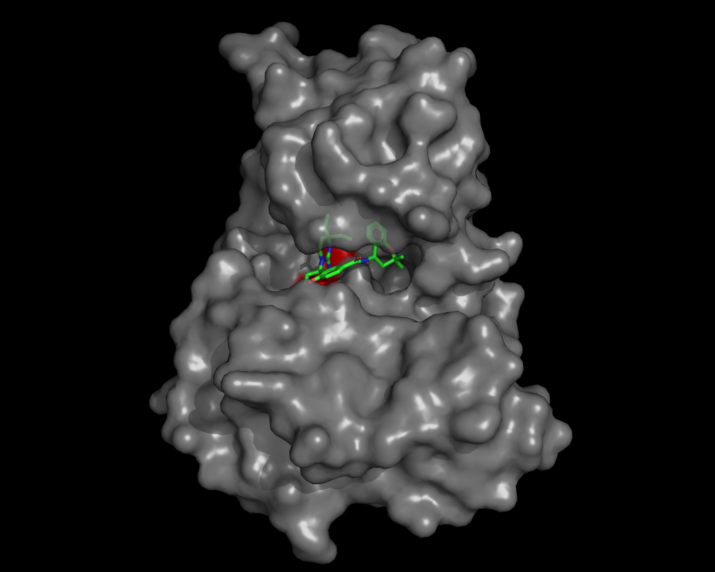 A 3D surface representation showing the inhibitor WM382 (in green) bound within the active site cleft of the pacman’s mouth, the plasmepsinX ( in grey). This event blocks the ability of plasmepsinX to process other parasite proteins required for the entry and exit of red blood cells. / Credit: WEHI