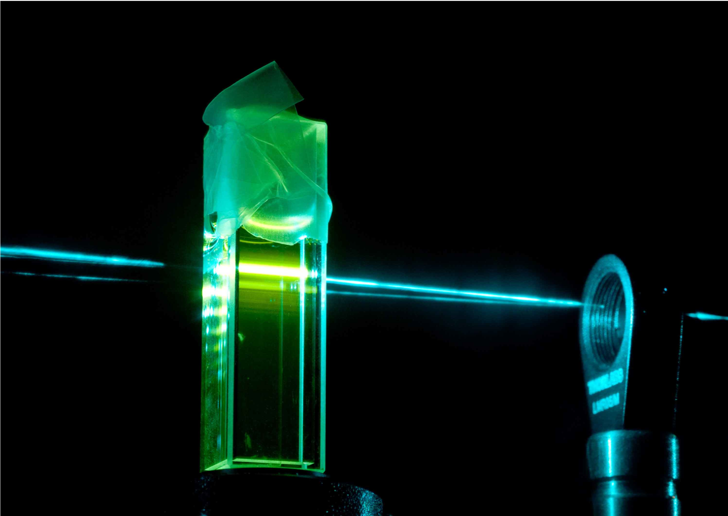 PHOTO: VUW Image Services