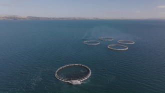 Fish farm pens located in the Spencer Gulf next to CSIRO’s AquaWatch sensor test