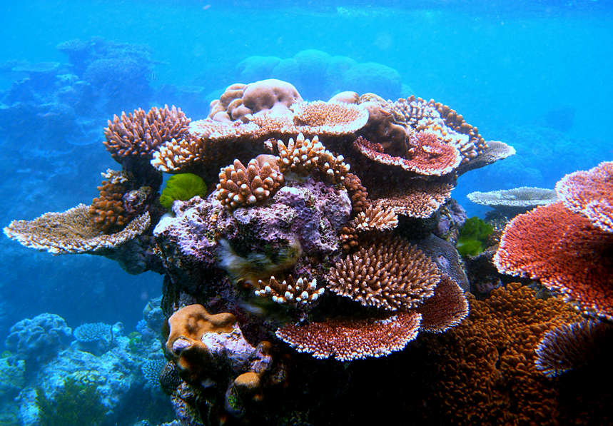 Great Barrier Reef