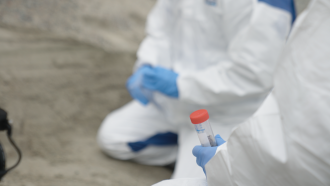 A sample collected by Prof. Eske Willerslev in Greenland.