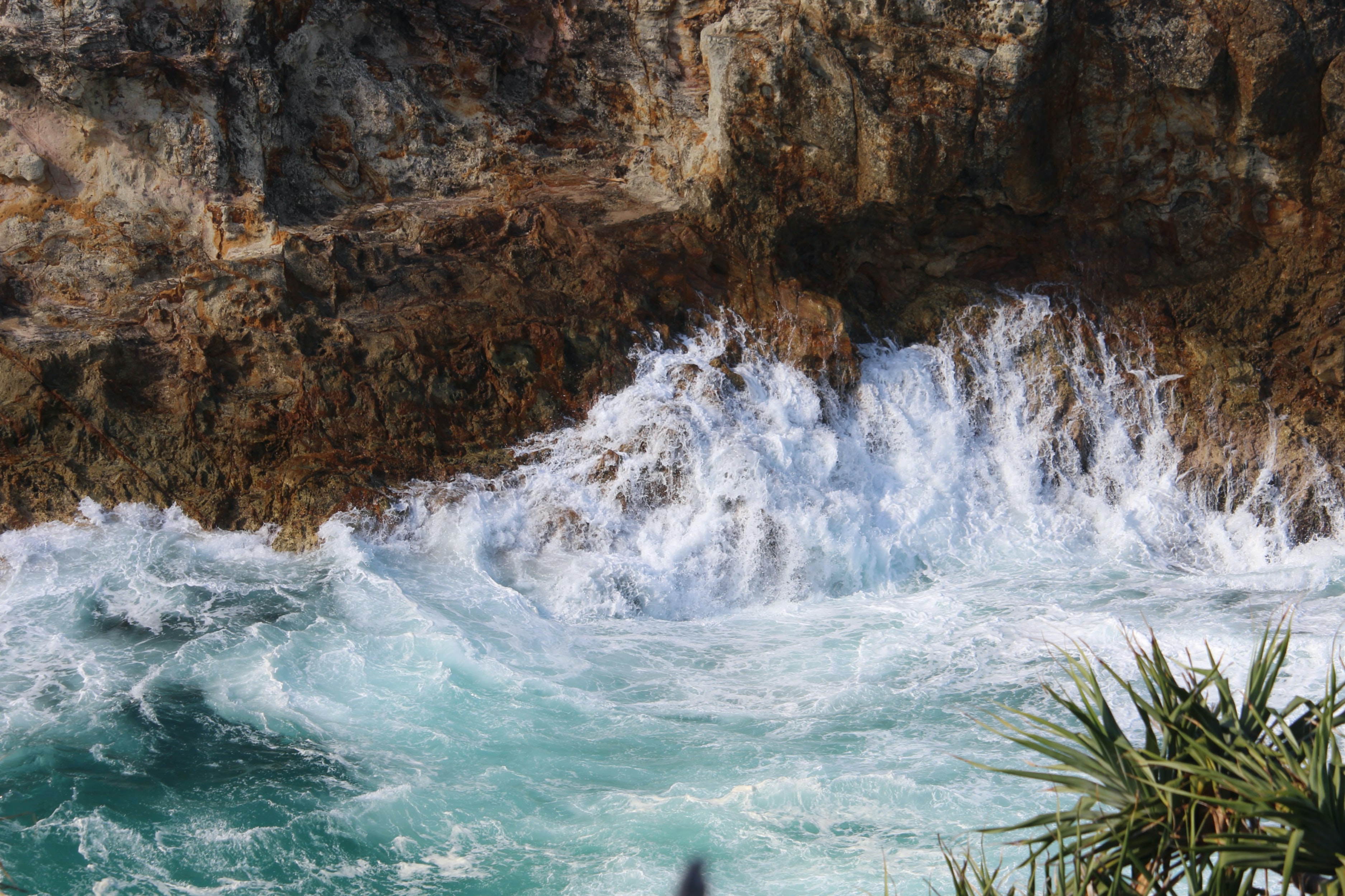 Photo by Elliot Cullen on Unsplash