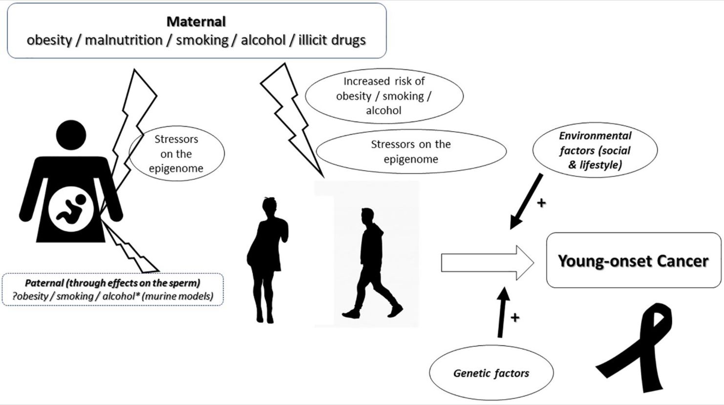 Frontiers of Oncology illustration (DOI: 10.3389/fonc.2021.653289)
