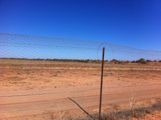The Dingo Barrier Fence