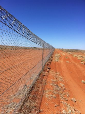 The Dingo Barrier Fence 2