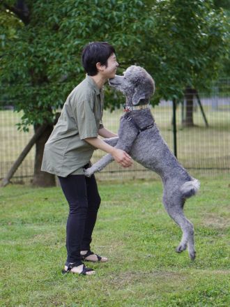Happy dog