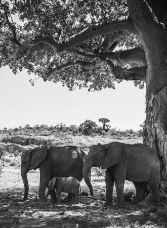 Biodiversity under threat category winner